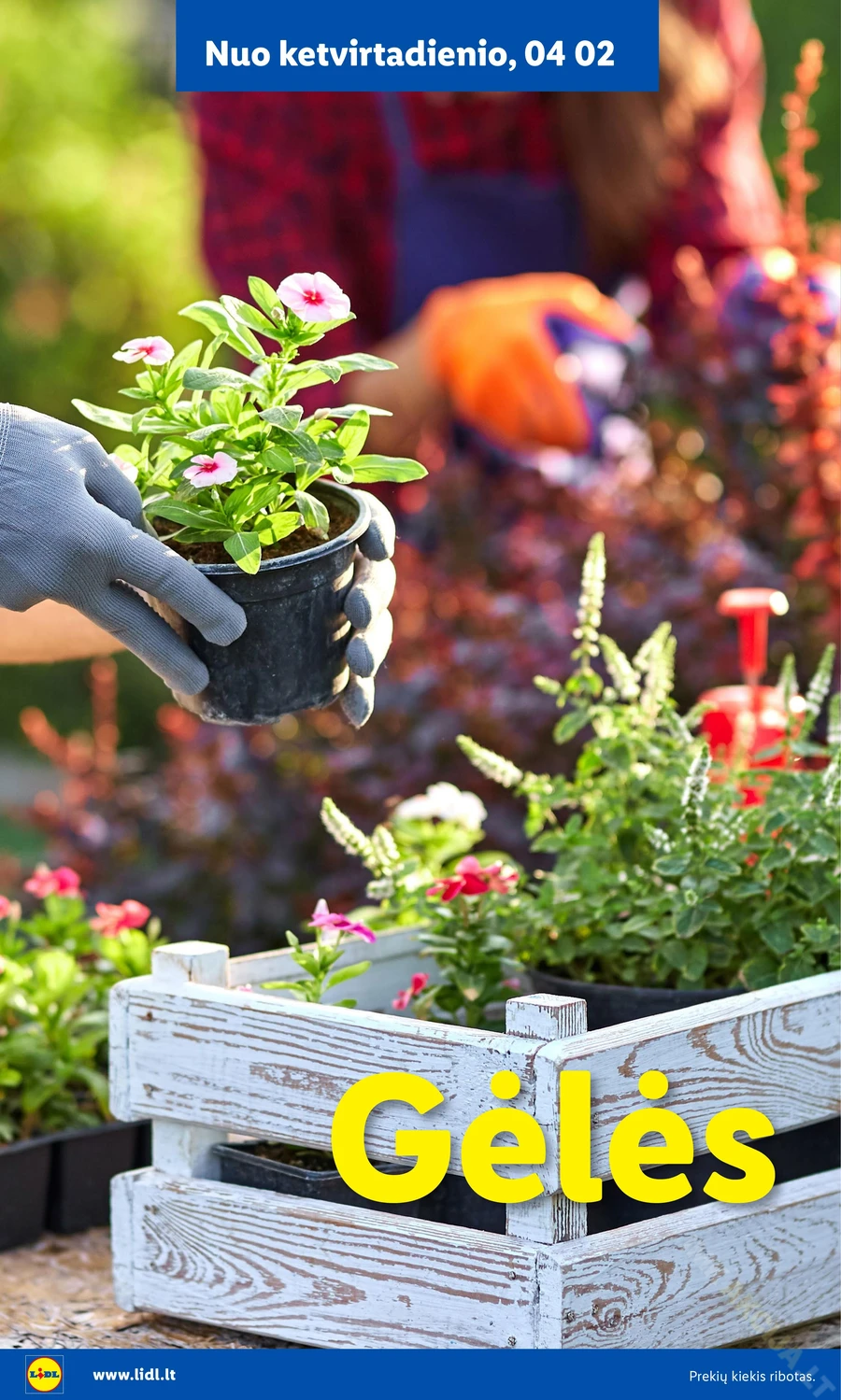 LIDL akcijų leidinys „Sodui valio!“ puslapis 8