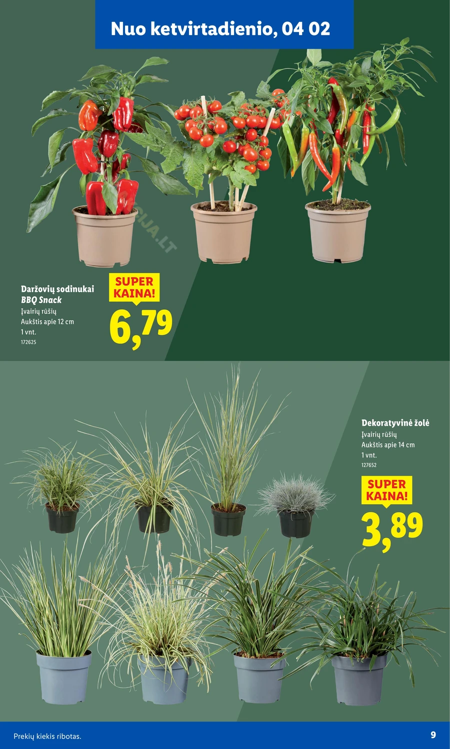 LIDL akcijų leidinys „Sodui valio!“ puslapis 9