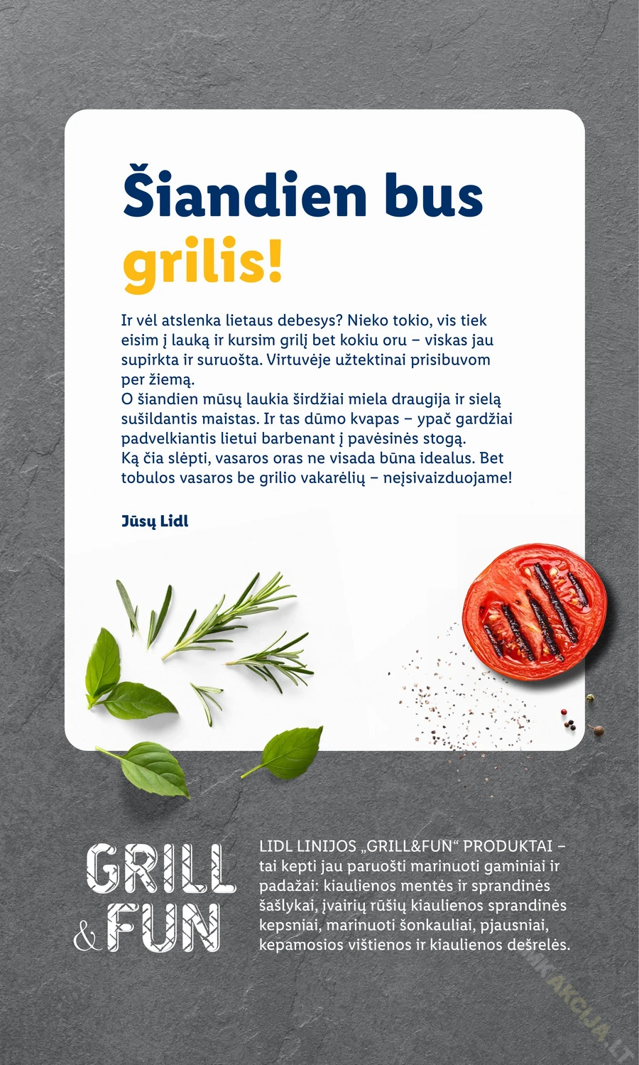 LIDL leidinys „Grilio katalogas“ puslapis 2
