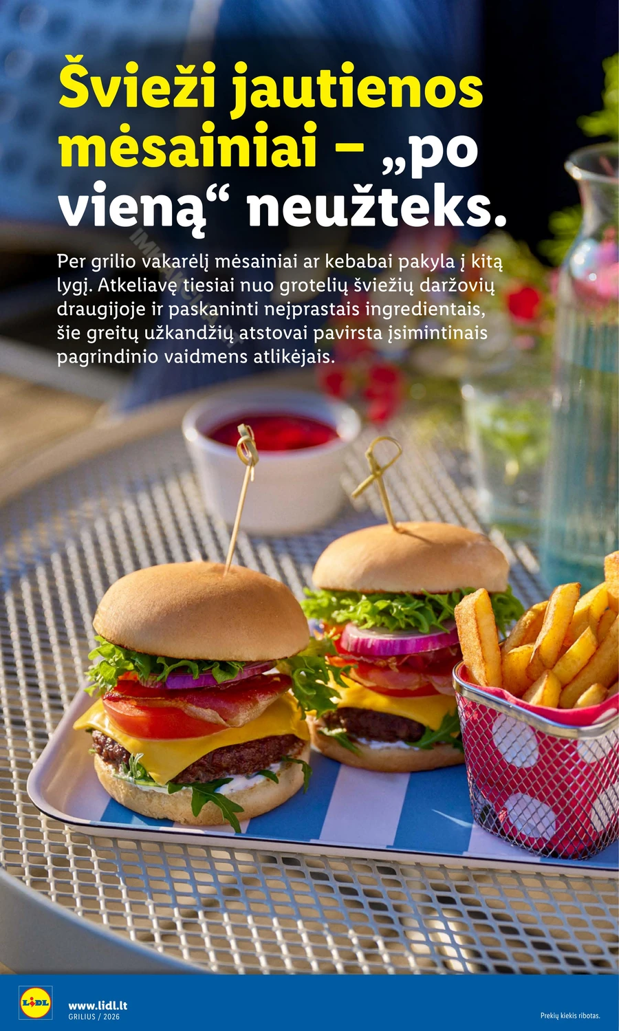 LIDL leidinys „Grilio katalogas“ puslapis 12