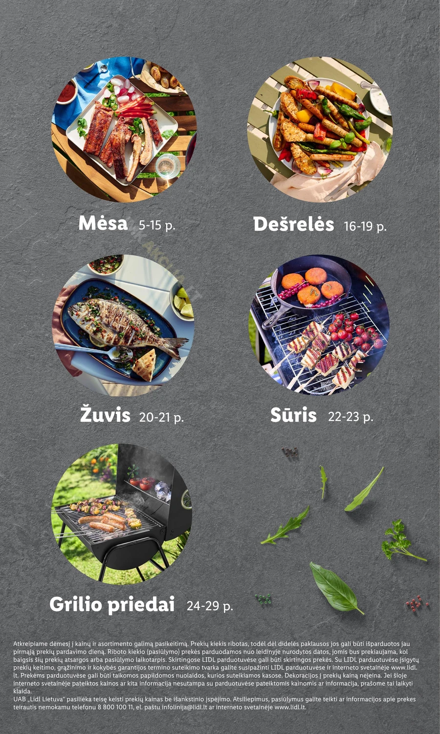 LIDL leidinys „Grilio katalogas“ puslapis 3