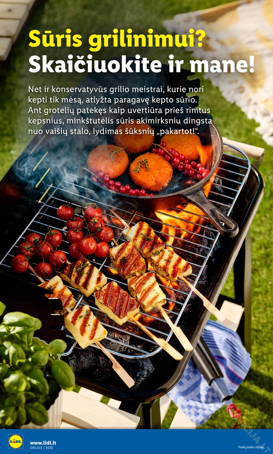 LIDL leidinys „Grilio katalogas“ puslapis 22