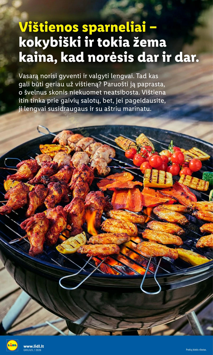 LIDL leidinys „Grilio katalogas“ puslapis 4