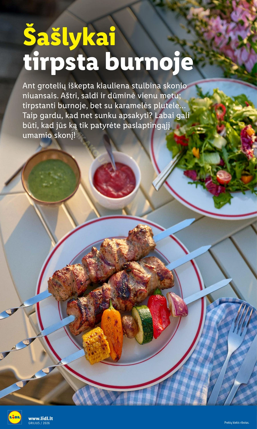 LIDL leidinys „Grilio katalogas“ puslapis 8