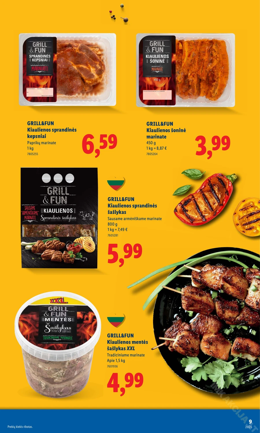 LIDL leidinys „Grilio katalogas“ puslapis 9
