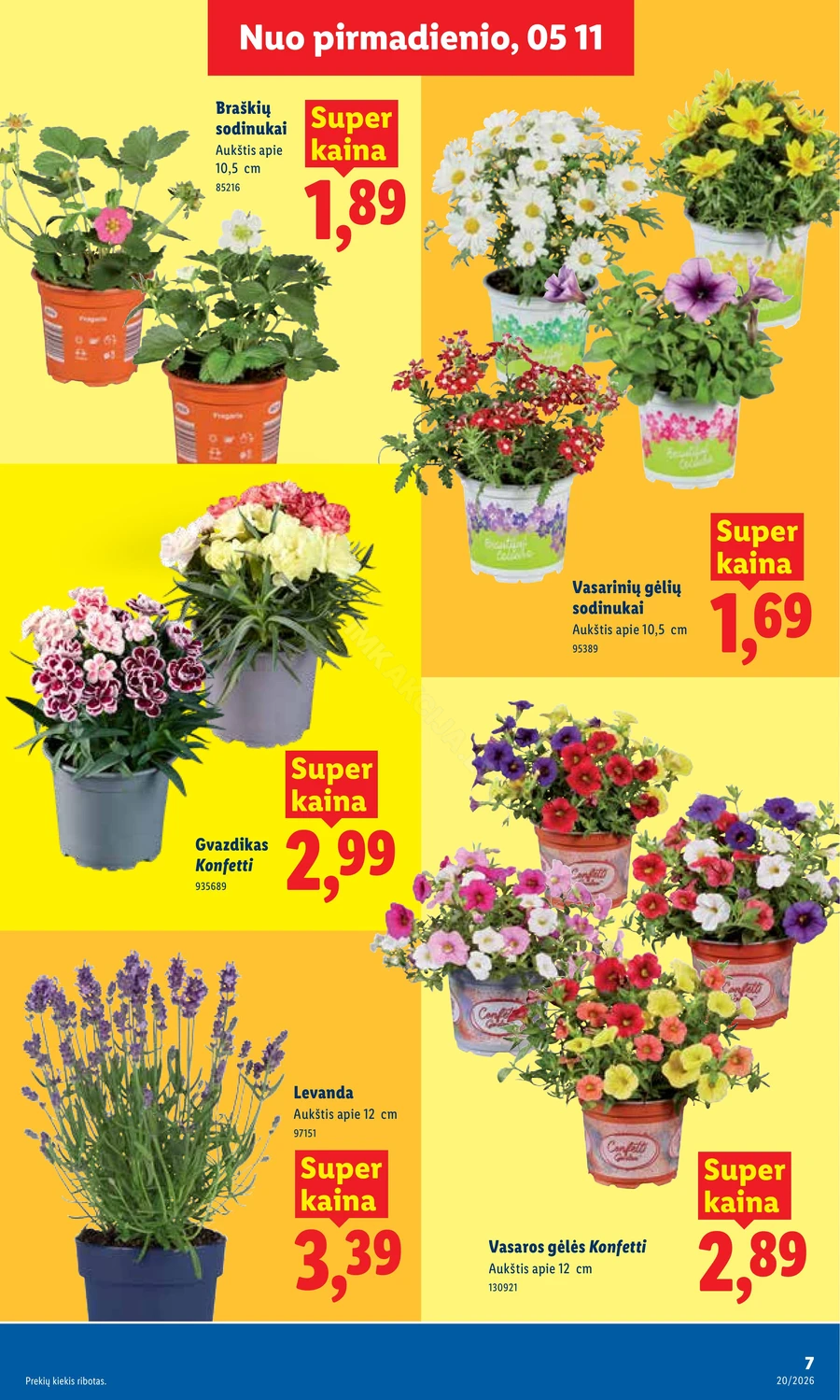 LIDL maisto prekių akcijų leidinys puslapis 7
