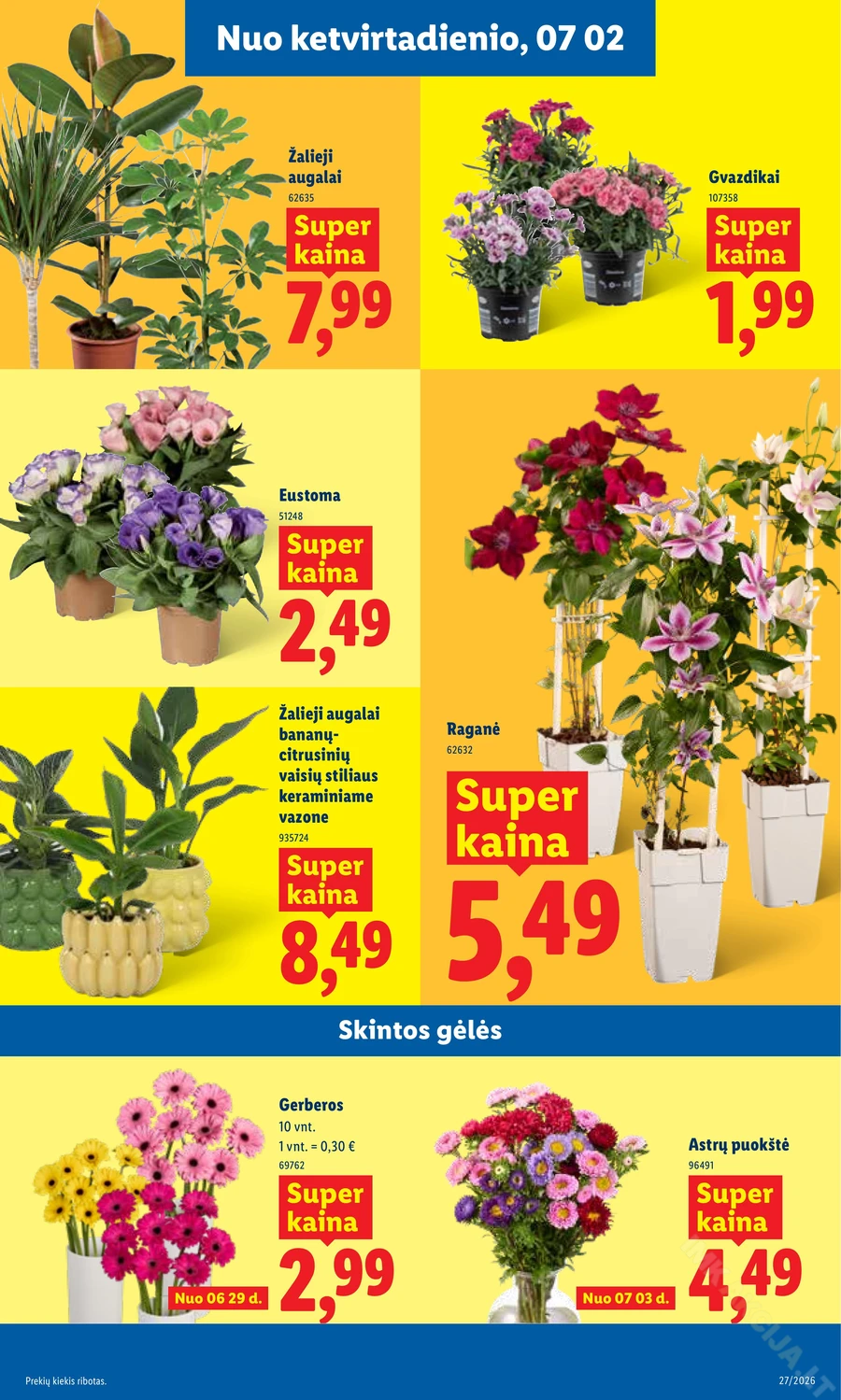 LIDL maisto prekių akcijų leidinys puslapis 9