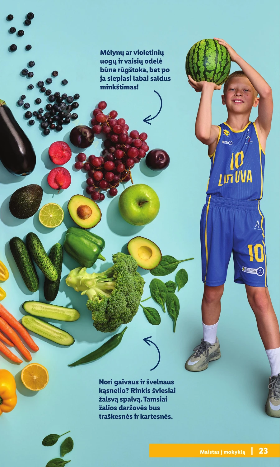 LIDL leidinys „Atgal į mokyklą” puslapis 23