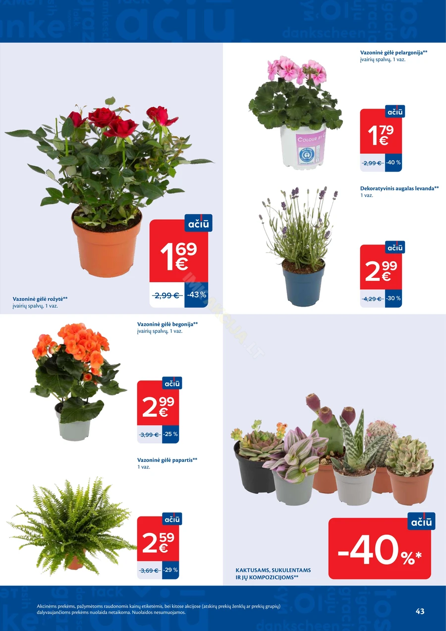MAXIMA akcijų leidinys Nr. 25 puslapis 43