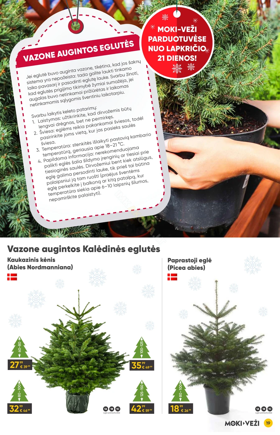 MOKI VEŽI akcijų leidinys „Kalėdų menas“ puslapis 19