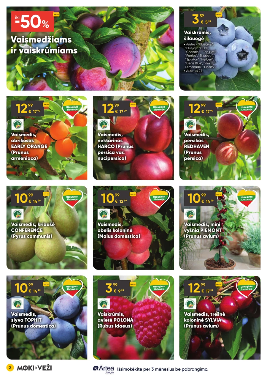 MOKI VEŽI akcijų leidinys puslapis 2