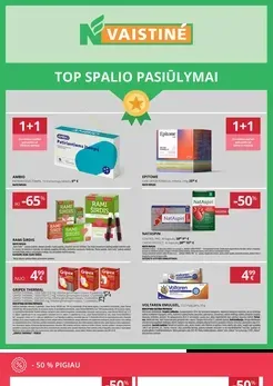 NORFOS VAISTINĖ akcijų leidinys