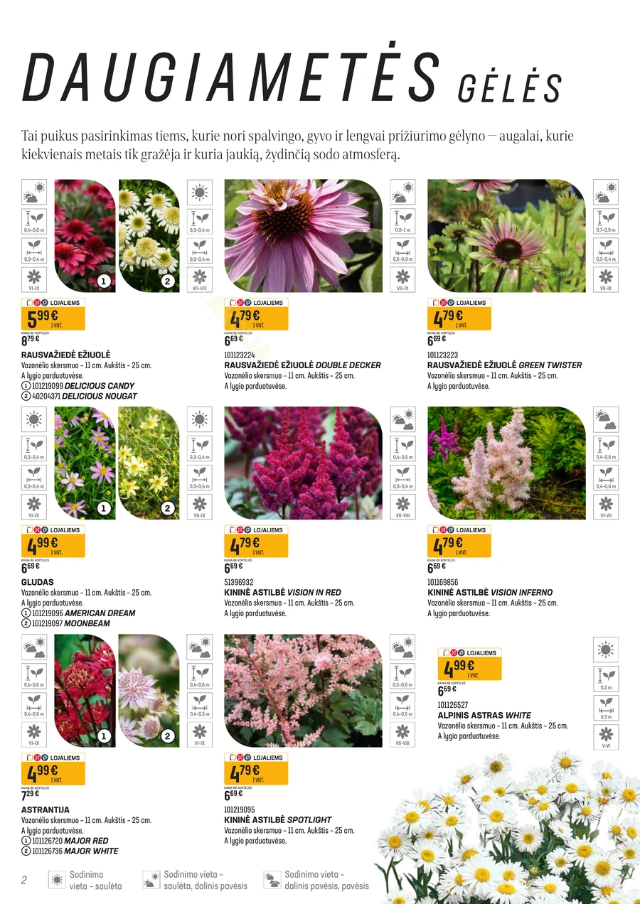 SENUKAI akcijų leidinys Nr. 11 puslapis 2