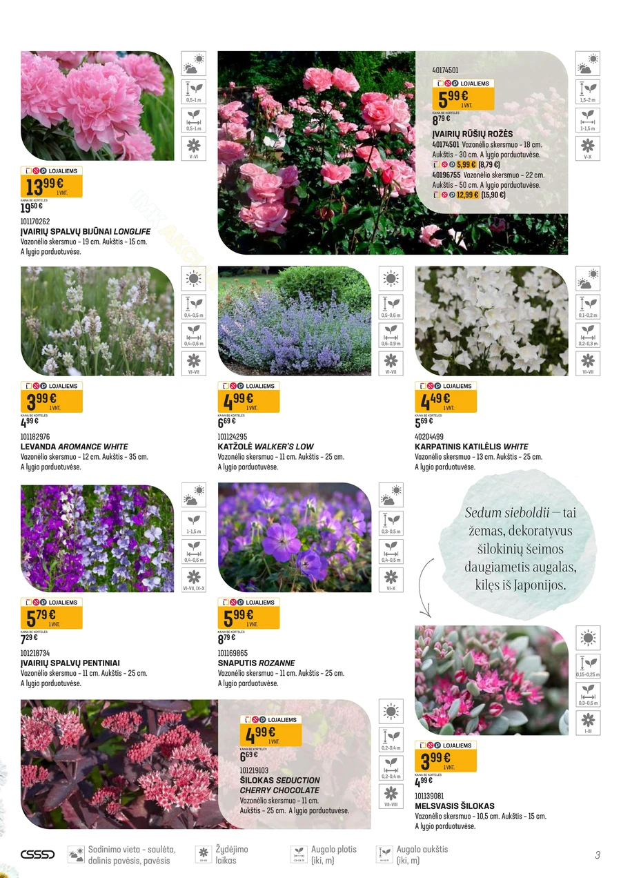 SENUKAI akcijų leidinys Nr. 11 puslapis 3