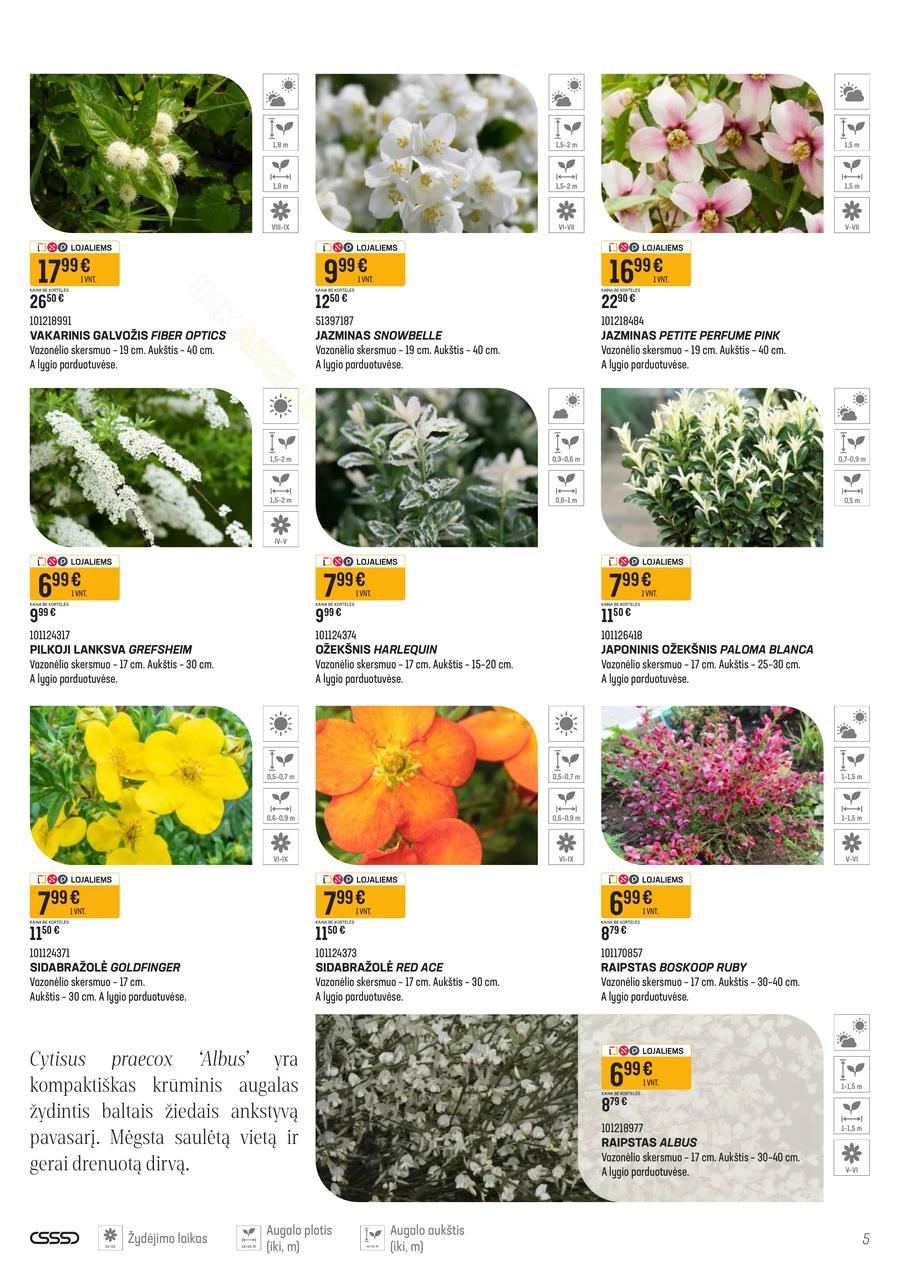 SENUKAI akcijų leidinys Nr. 11 puslapis 5