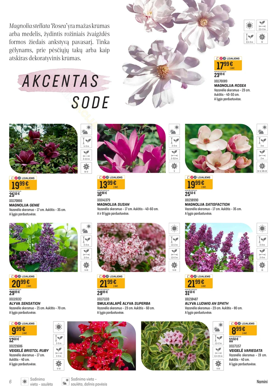 SENUKAI akcijų leidinys Nr. 11 puslapis 6