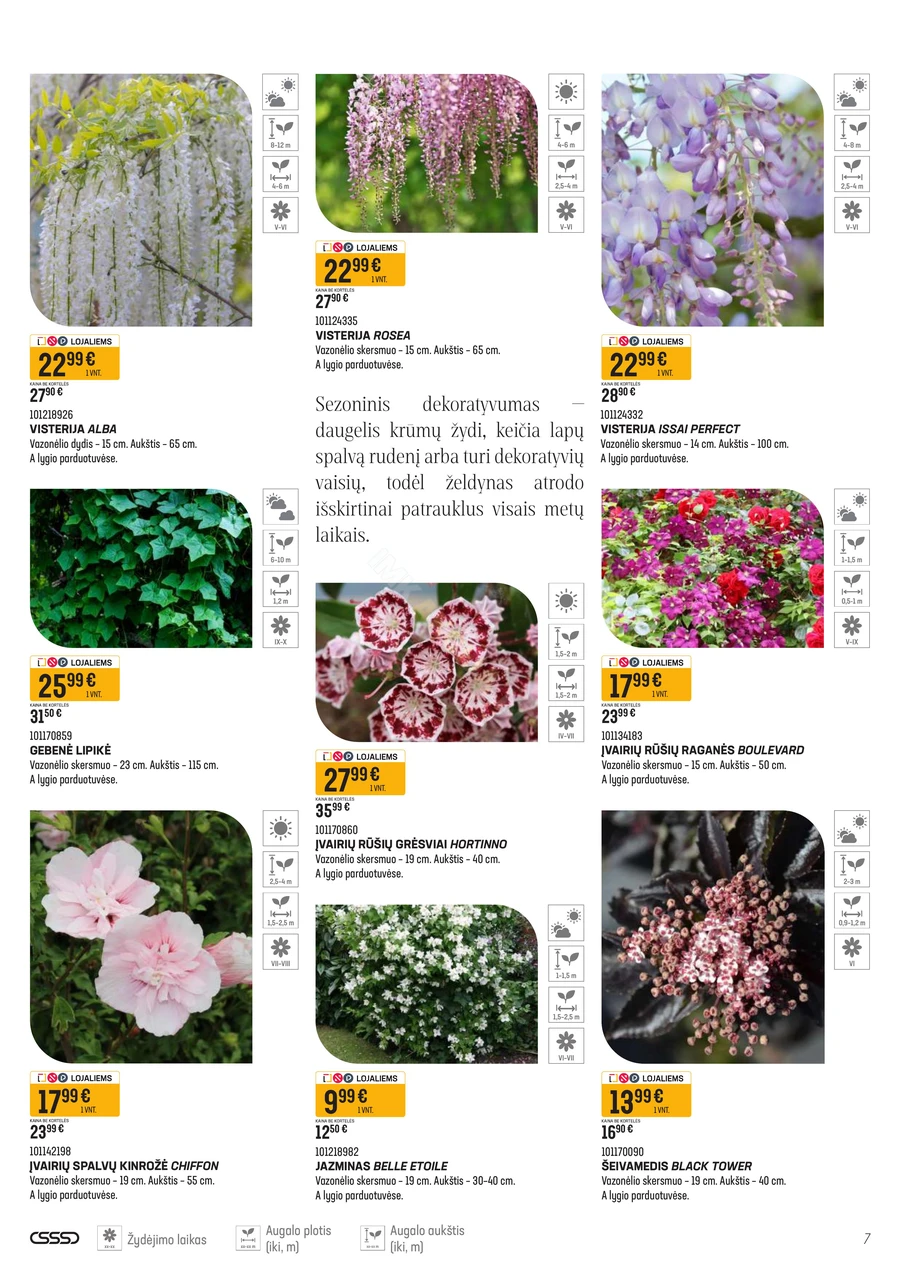 SENUKAI akcijų leidinys Nr. 11 puslapis 7