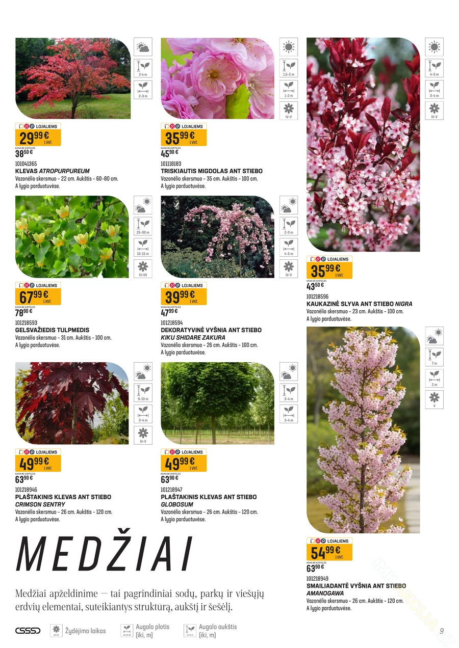 SENUKAI akcijų leidinys Nr. 11 puslapis 9